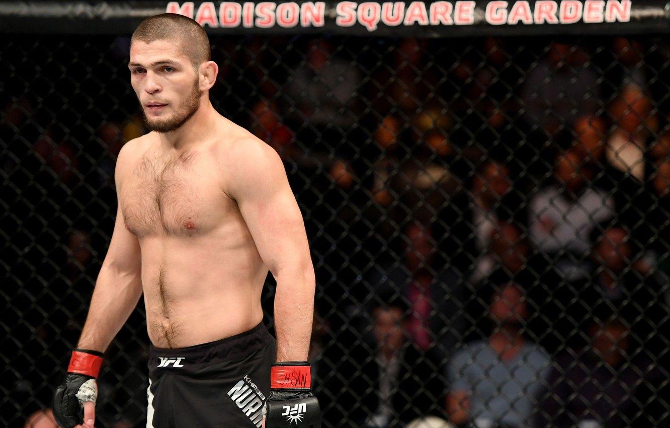 Khabib Wallpapers - Top Free Khabib Backgrounds - WallpaperAccess