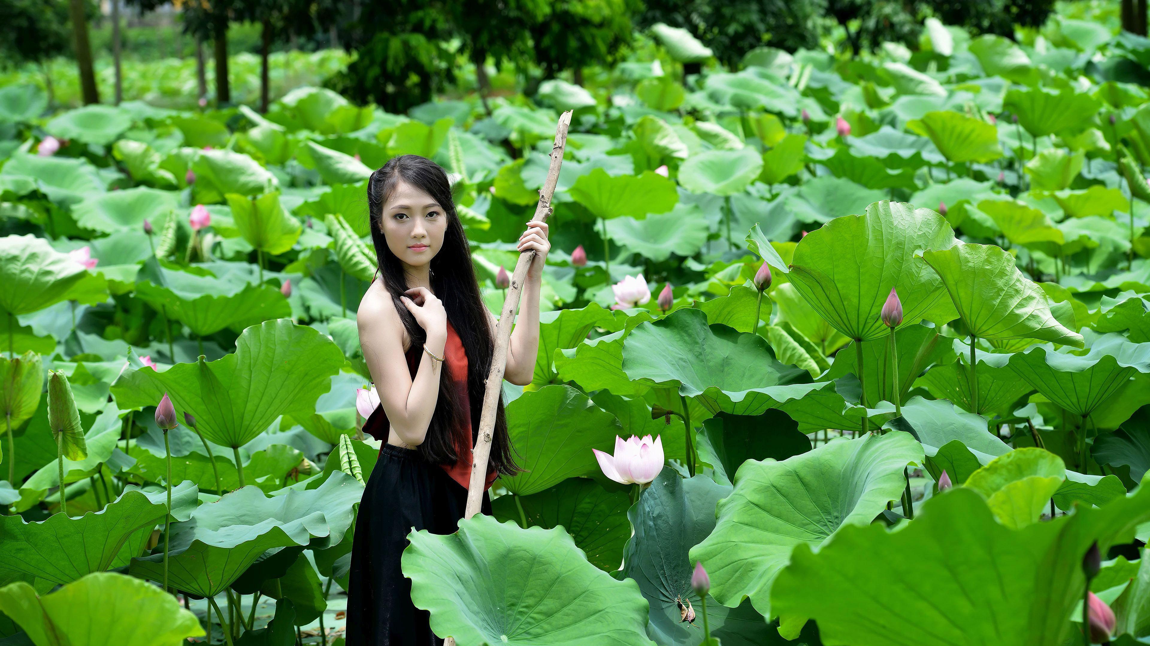 3840x2160 Beautiful girl in the lotus pond HD desktop wallpaper : Widescreen