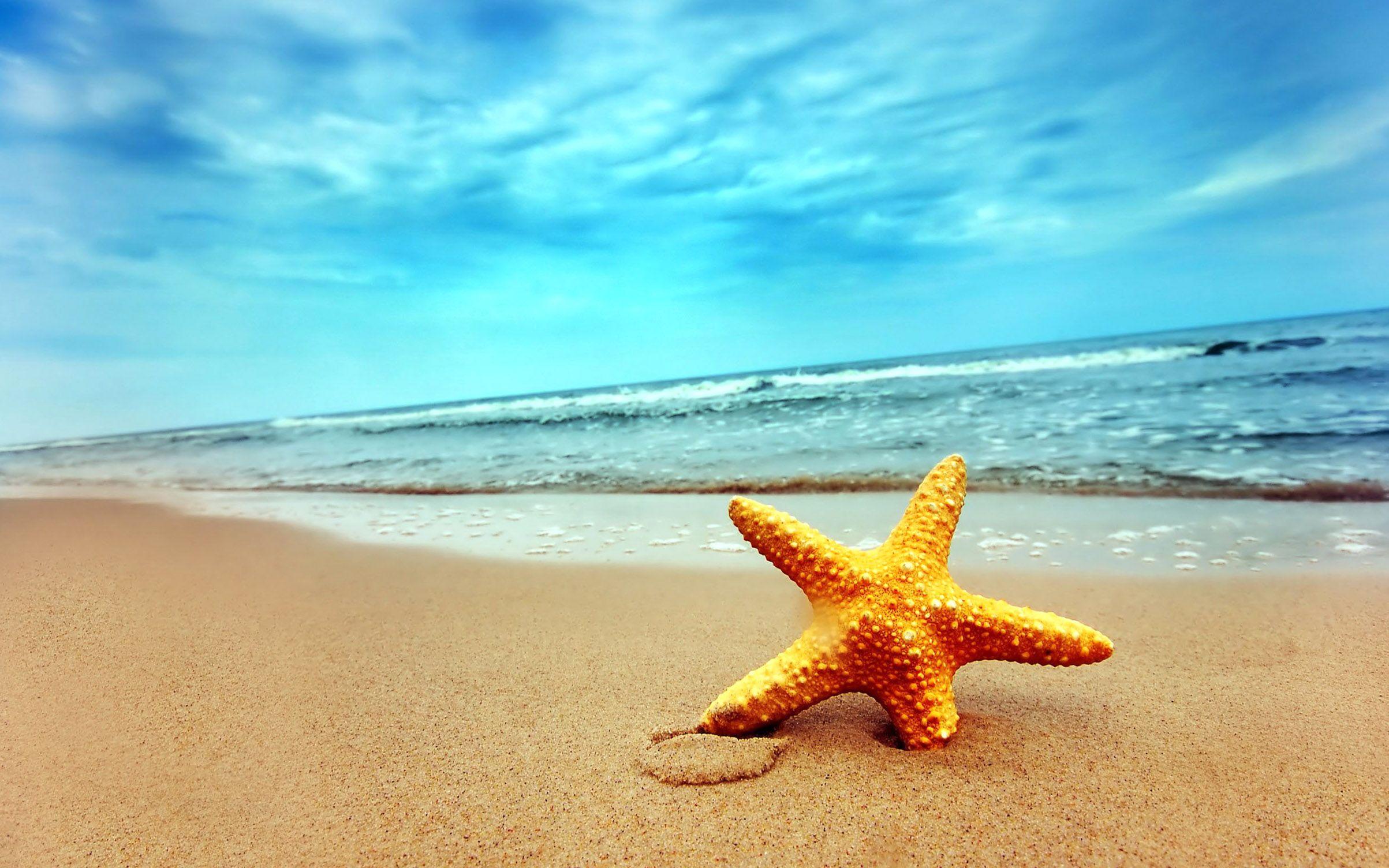 2406x1504 Star, On, The, Beach, HD Sea Wallpaper, Sand, Ocean, Summer, Sun