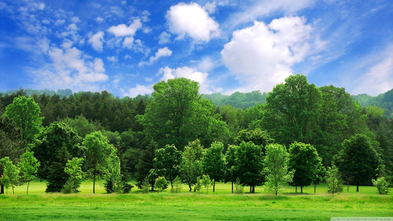 1366x768 Beautiful Summer Landscape HD Desktop Wallpaper Widescreen On Of