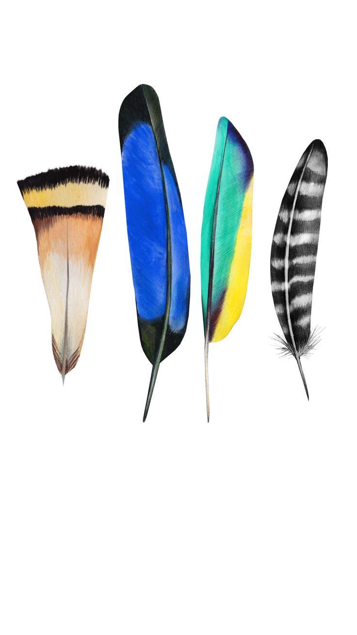 736x1308 Preppy Original iPhone wallpaper: Like a Feather. Wallpaper