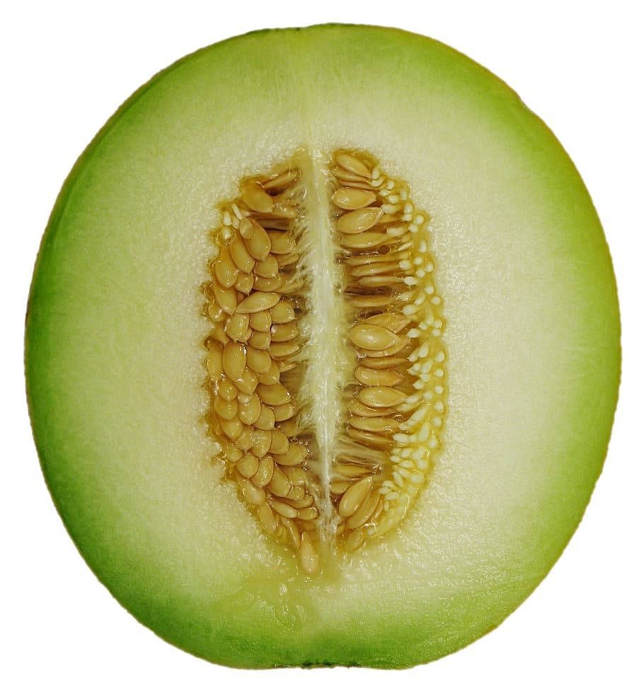 910x973 Honeydew Melon HD Wallpaper 100++