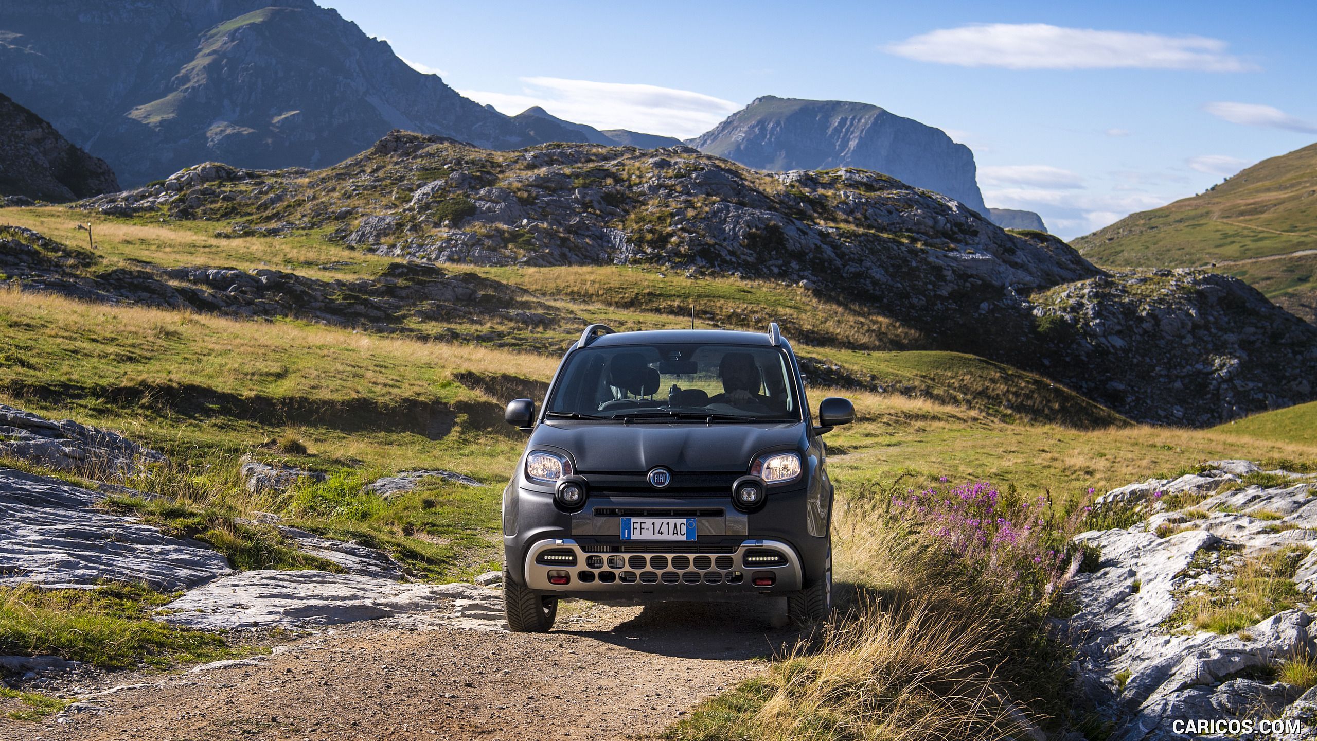 2560x1440 Fiat Panda Cross