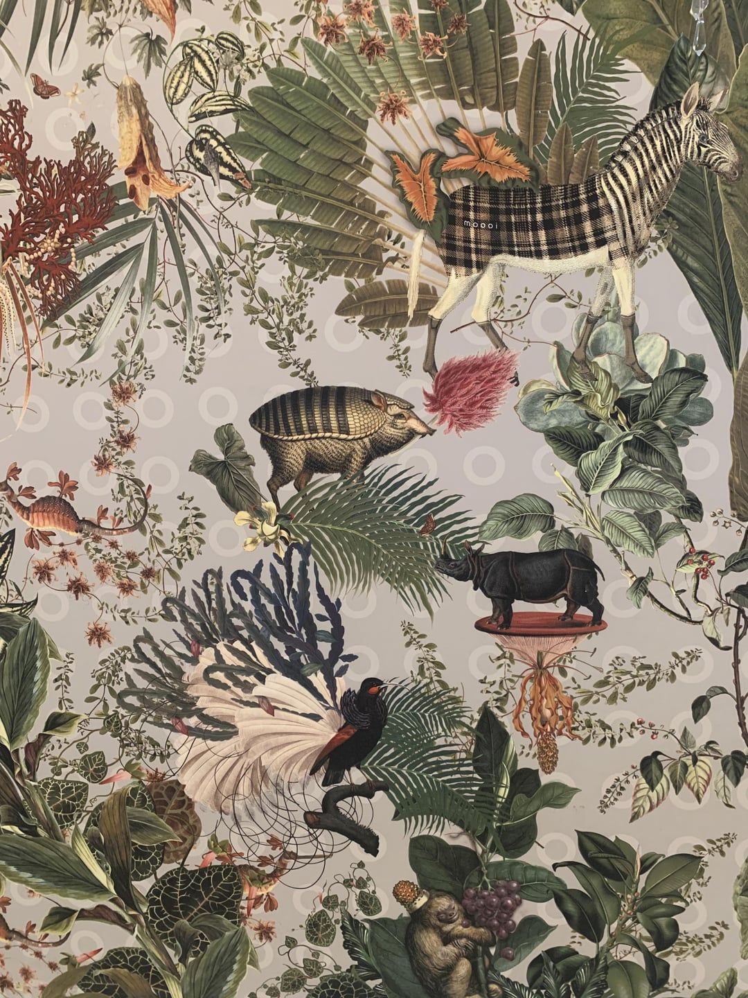 1080x1440 This wallpaper in my hotel in Italy