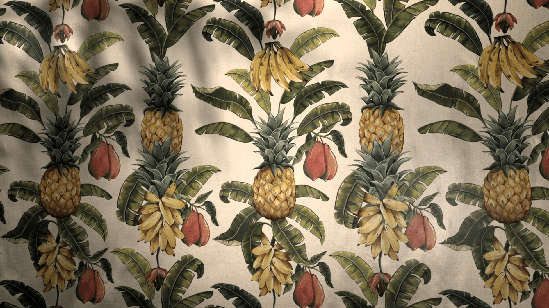 The White Lotus Wallpapers - Top Free The White Lotus Backgrounds ...