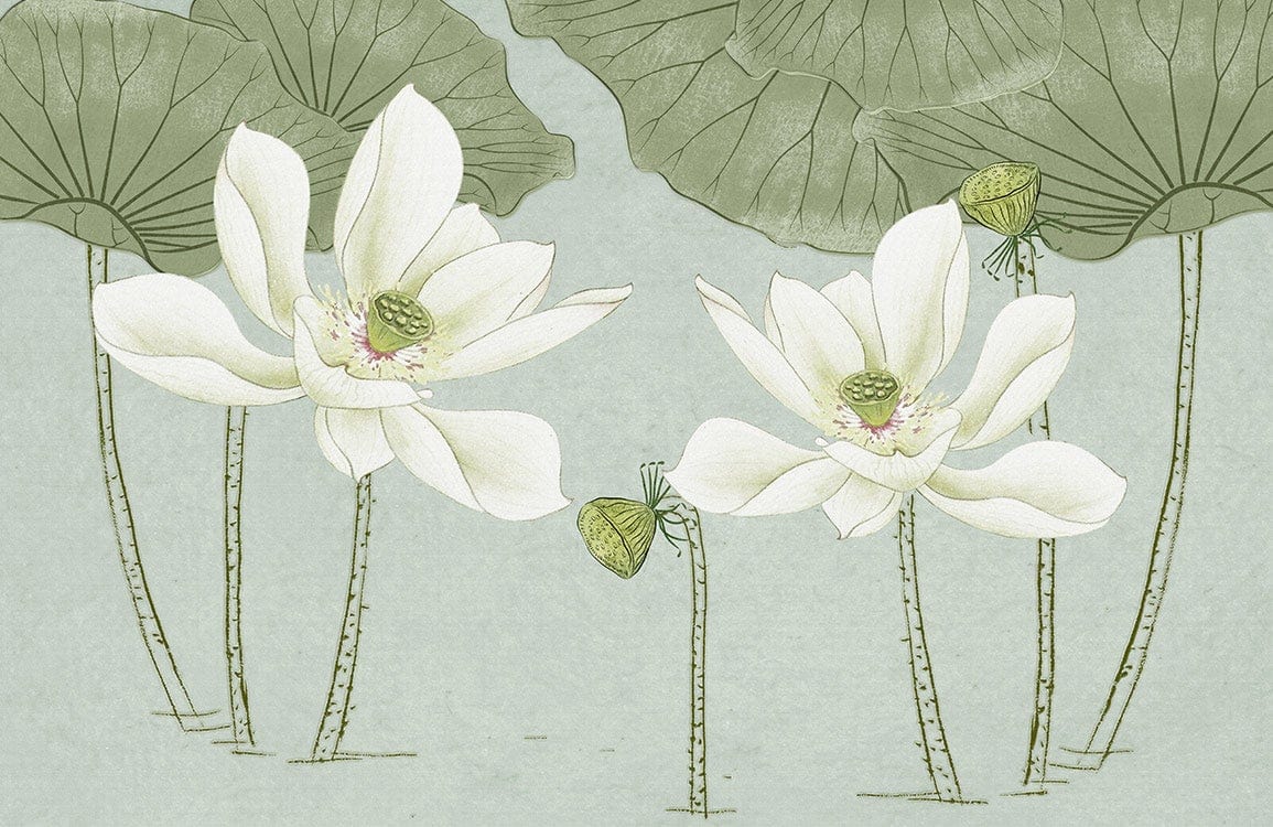 1155x750 Lotus Flower Mural Wallpaper