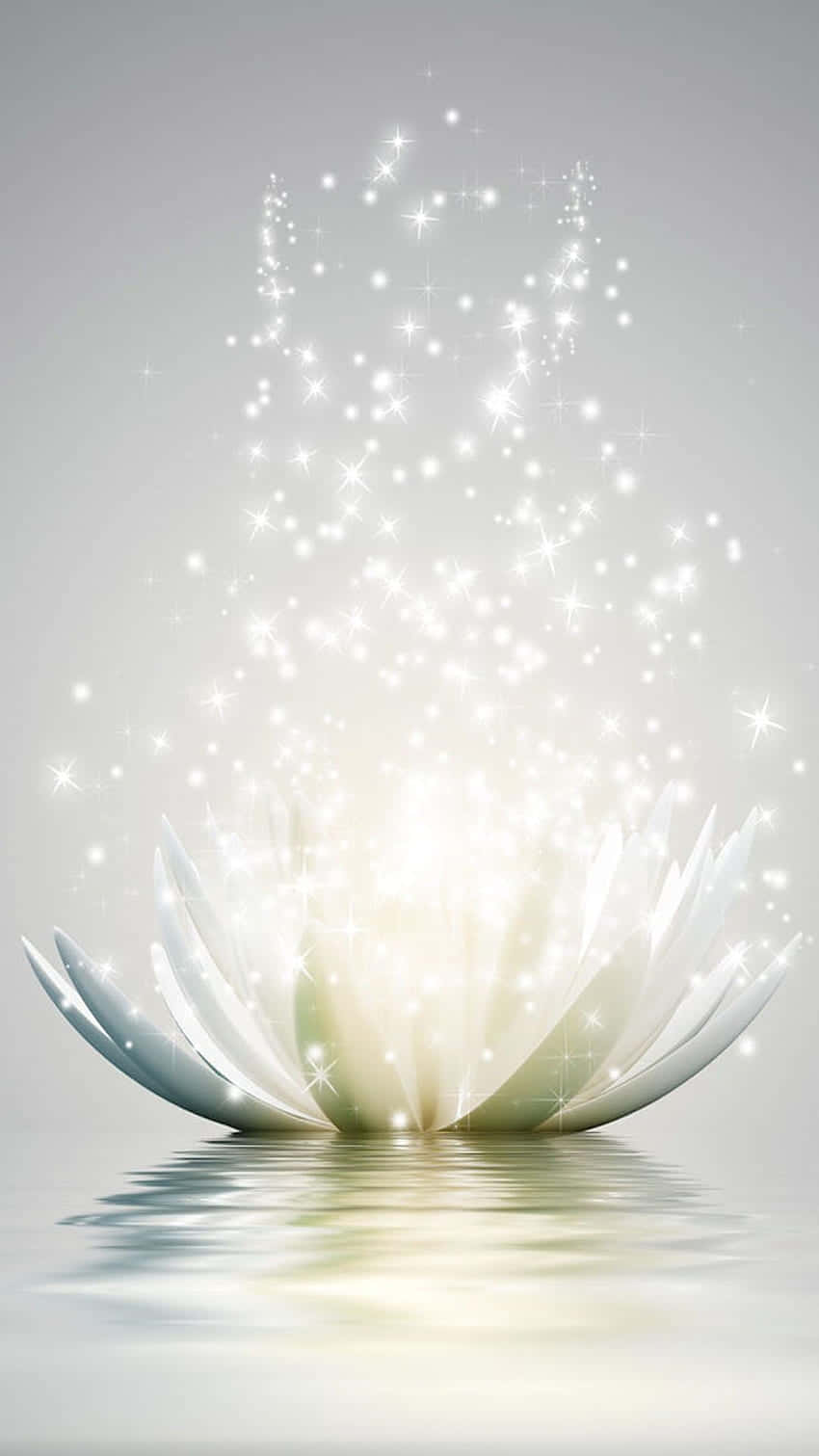 850x1511 White Lotus Wallpaper