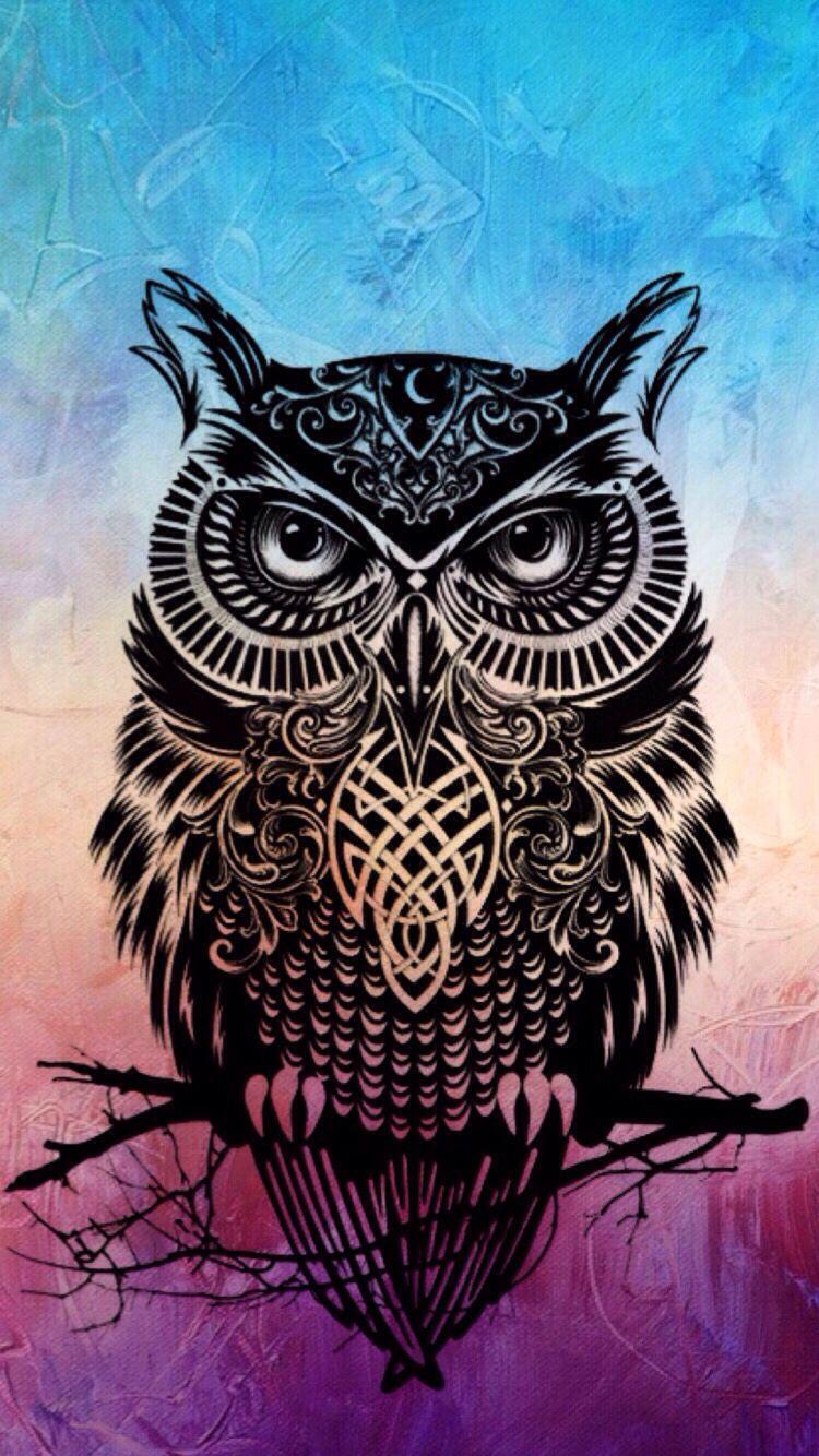 Cute Owl Tumblr Wallpapers For Iphone  Wallpaper Cave