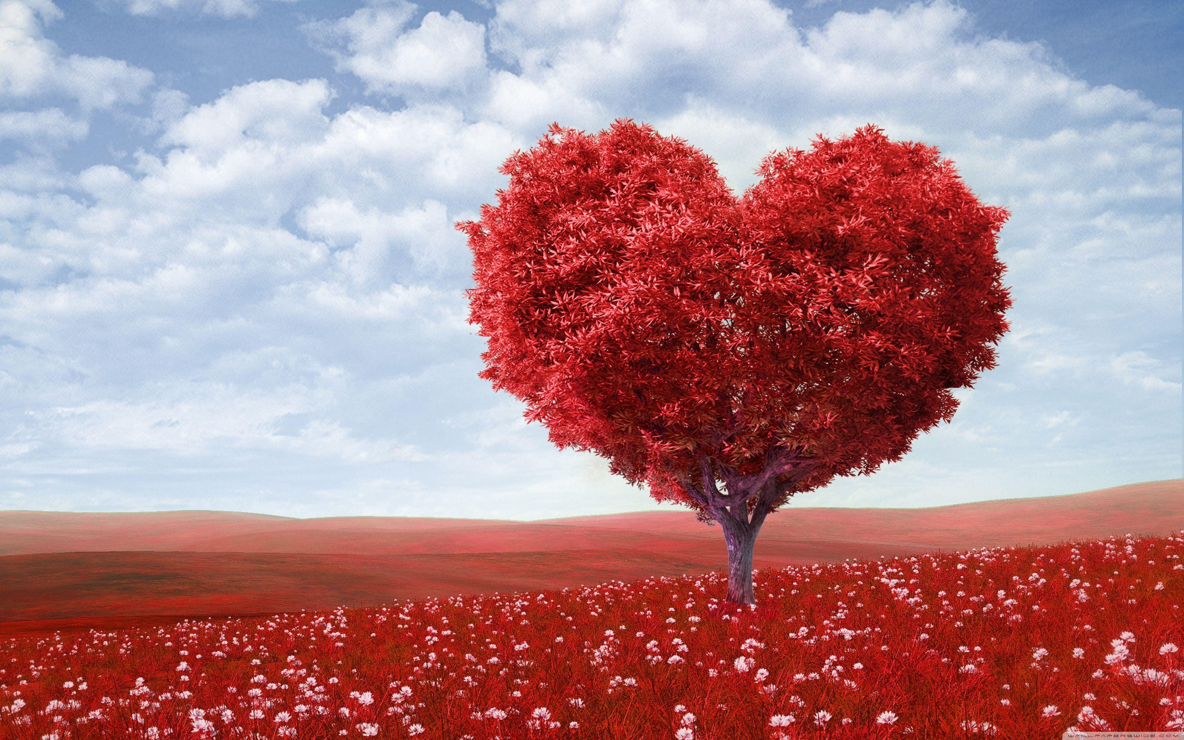 Chia sẻ hơn 105 hình nền valentine mới nhất  Tin học Đông Hòa