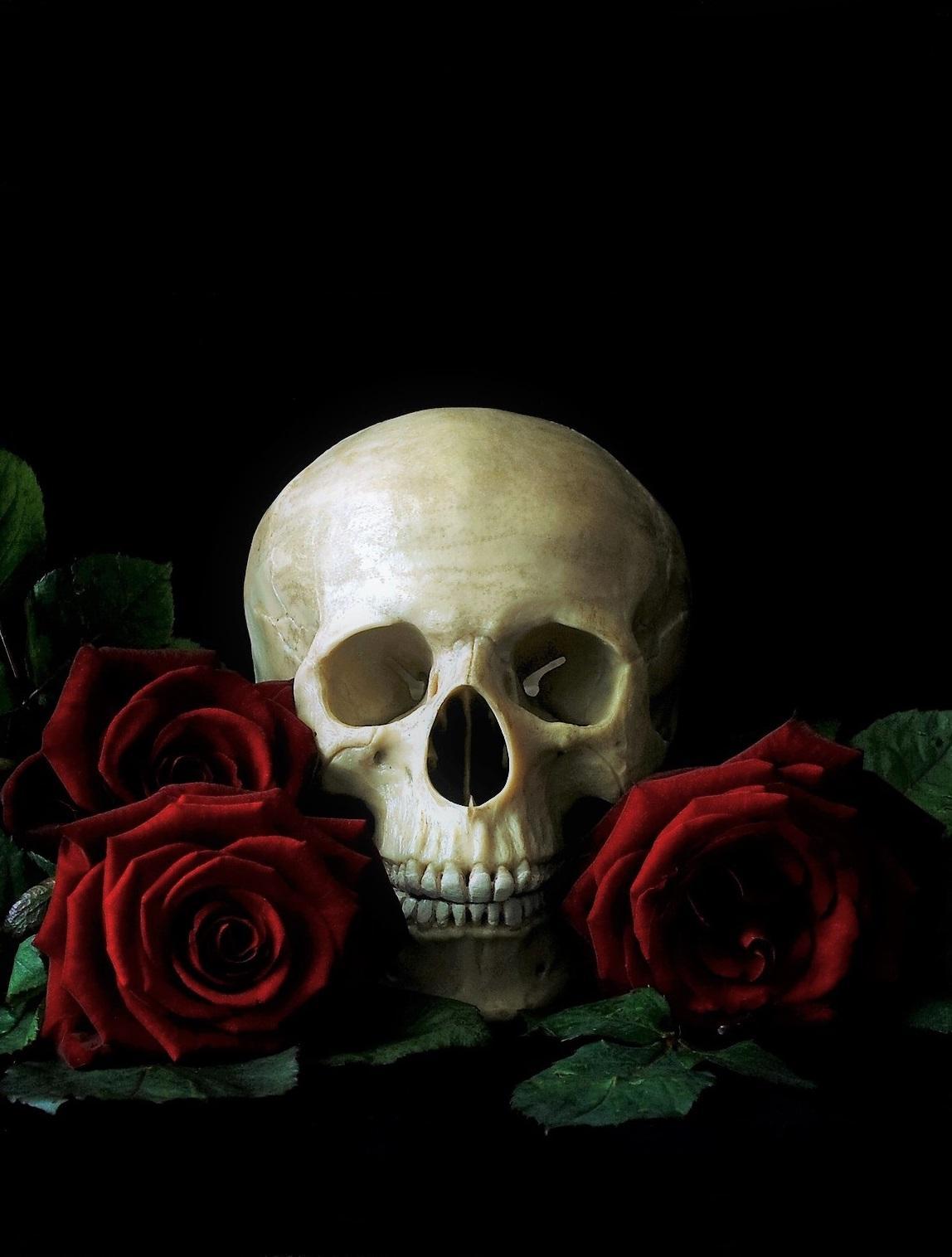 1148x1516 Skeletal Skull Wallpaper for Android