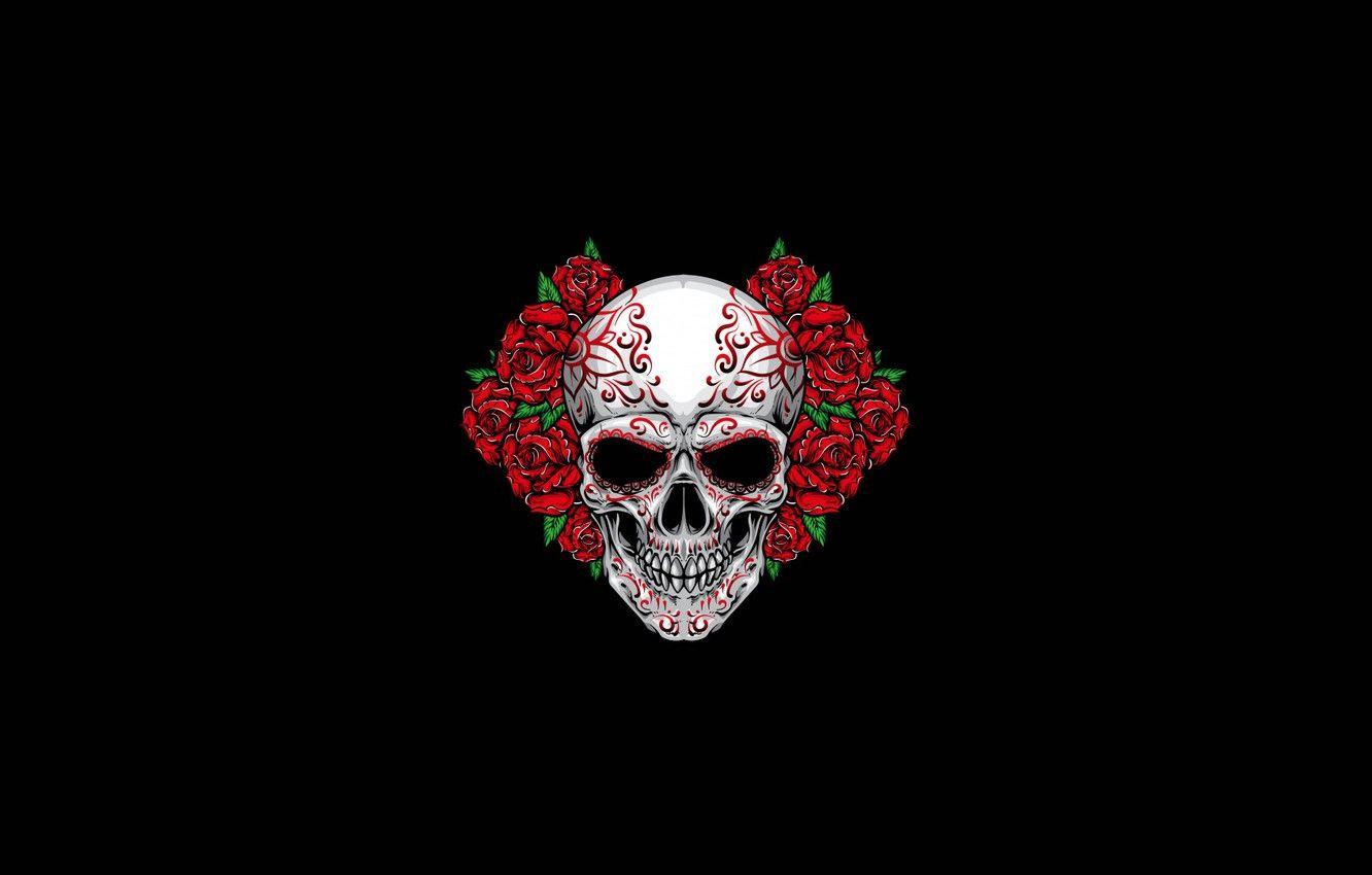 Rose Skull Wallpapers - Top Free Rose Skull Backgrounds - WallpaperAccess