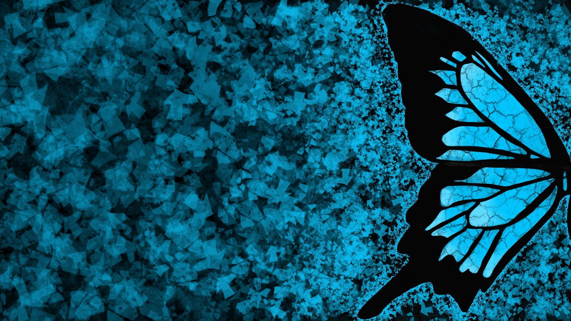 2224x1251 The Butterfly Effect