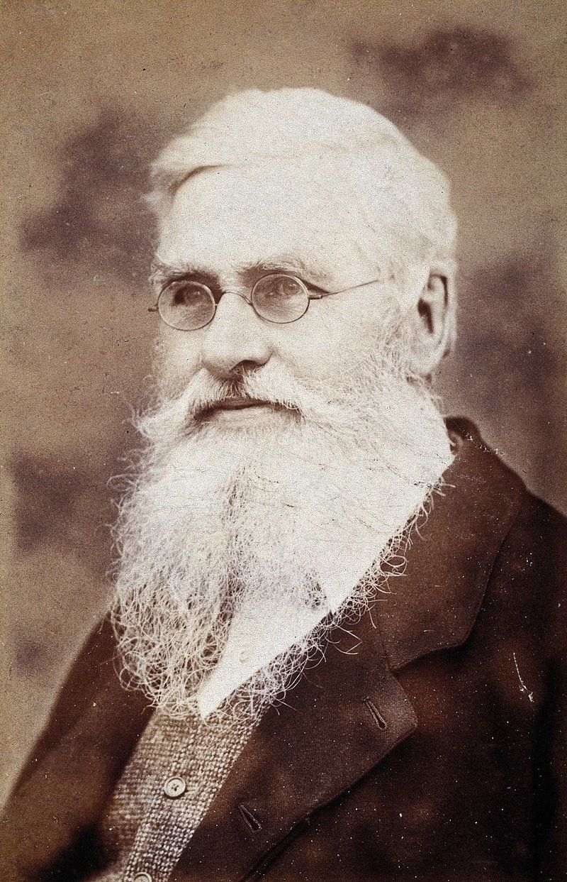 800x1243 Alfred Russel Wallace Image. Free