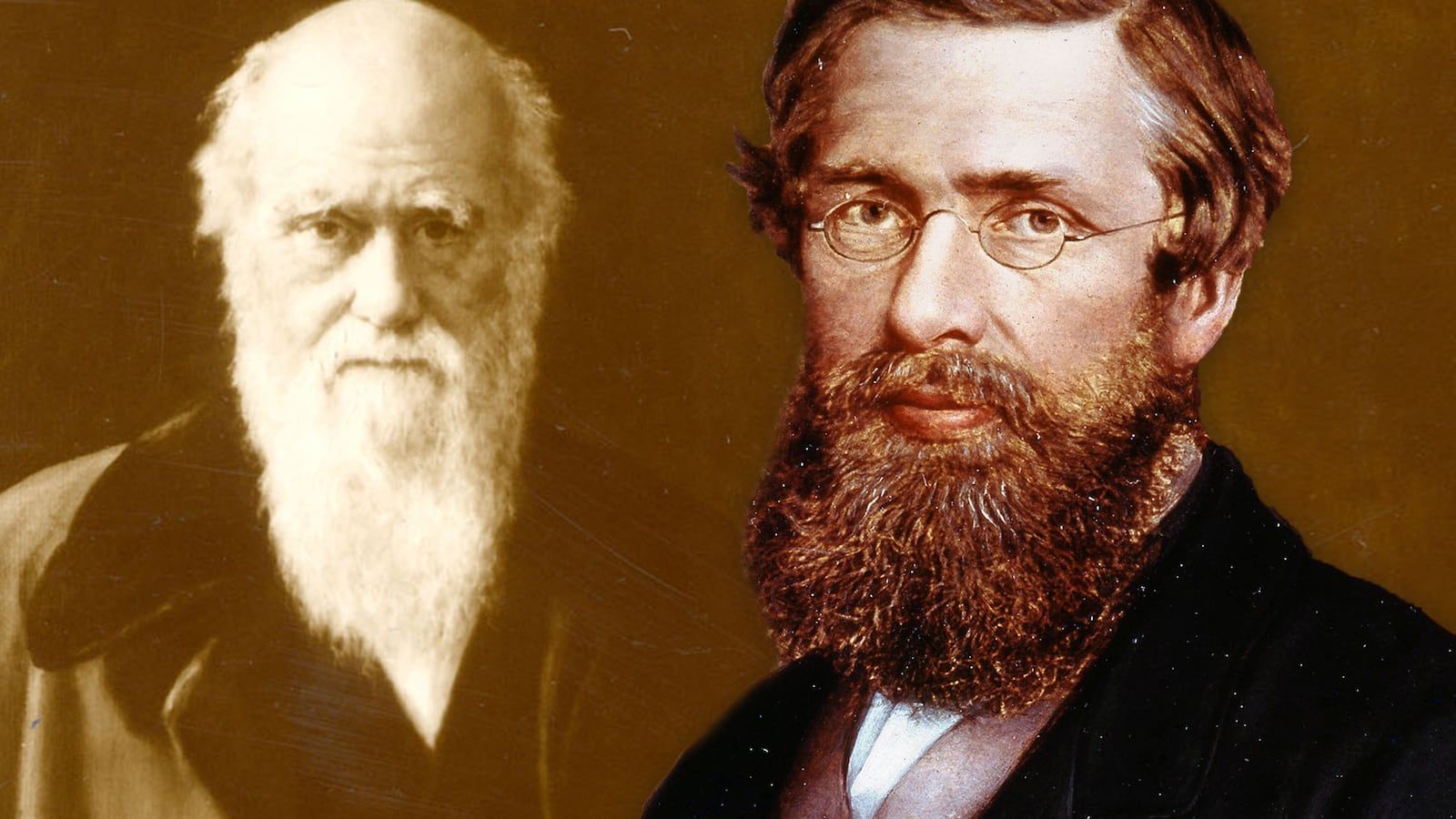 1600x900 Darwin, Alfred Russel Wallace
