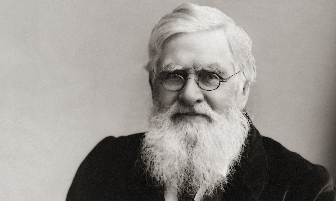 1288x773 Alfred Russel Wallace studied