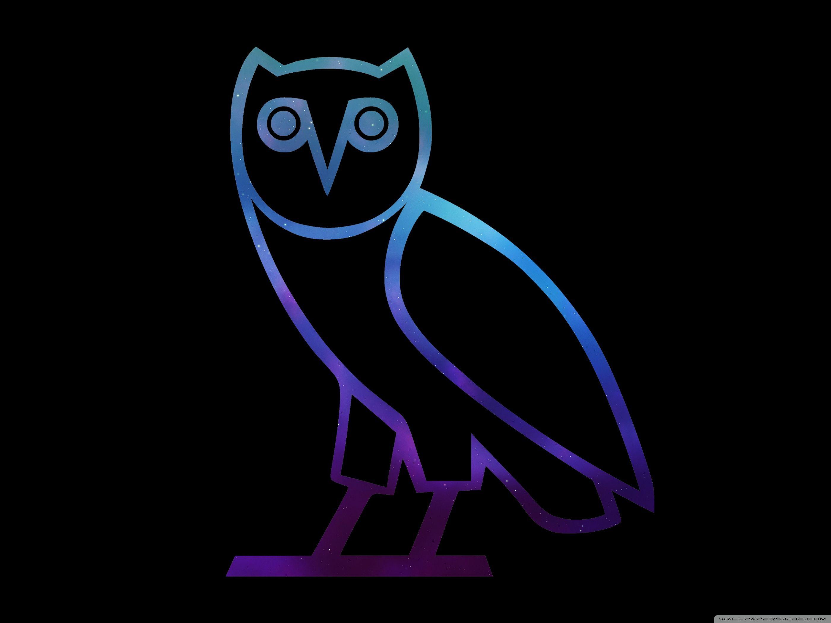 Blue Owl Wallpapers Top Free Blue Owl Backgrounds WallpaperAccess