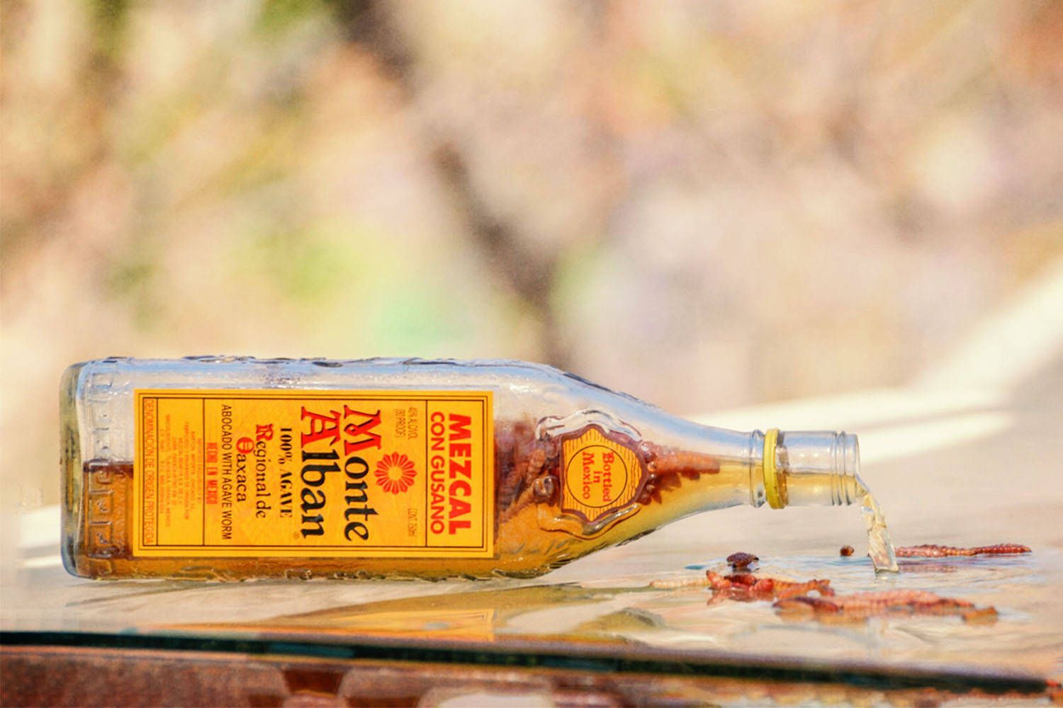 1500x1000 Download Spilling Monte Alban Mezcal