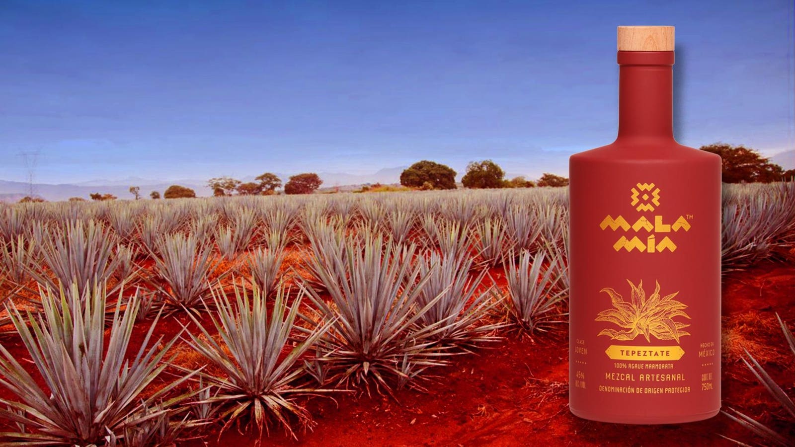 1600x900 The World's Best Mezcals, According To