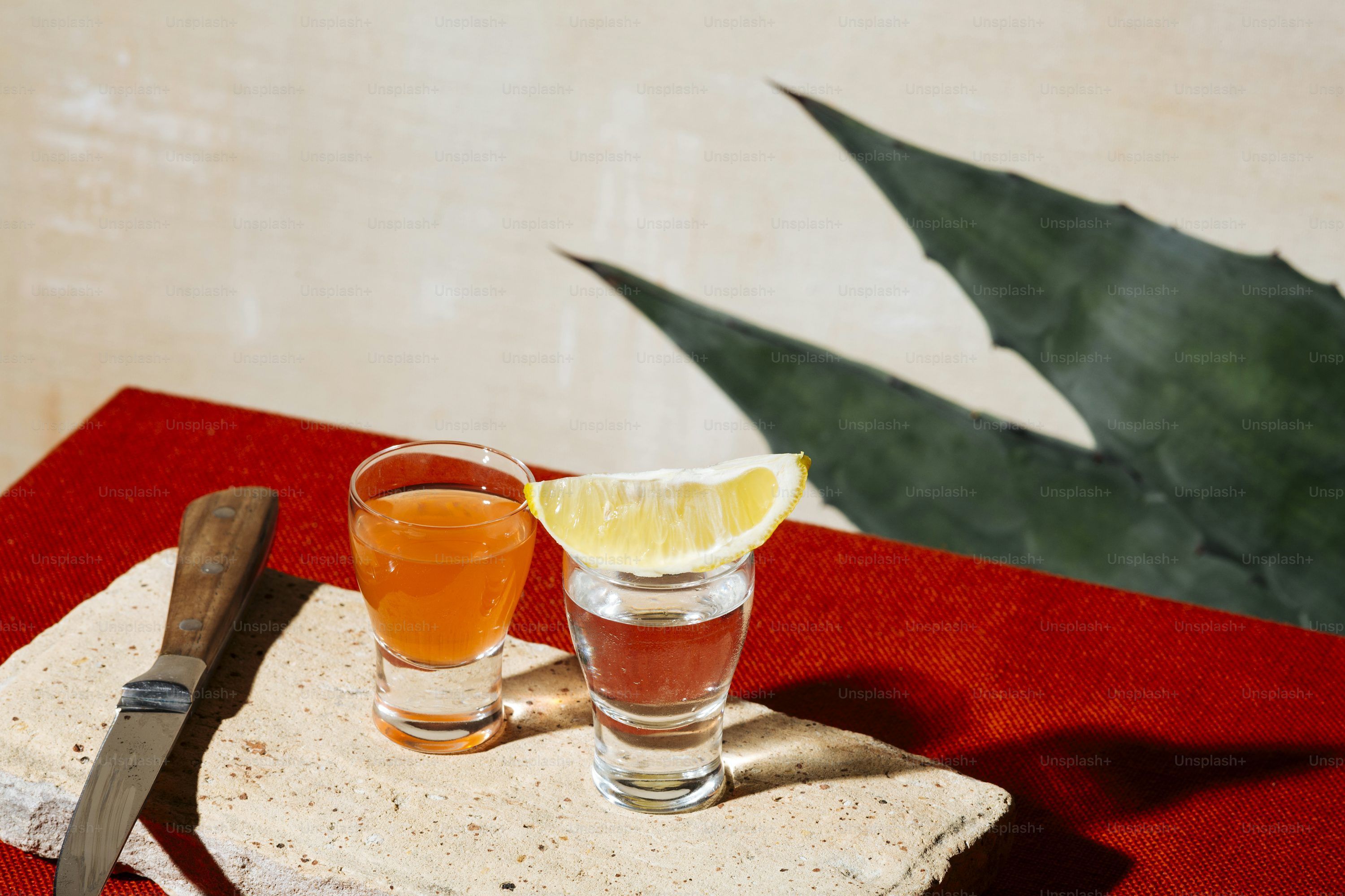 3000x2000 Tequila shot with sangrita, a customary