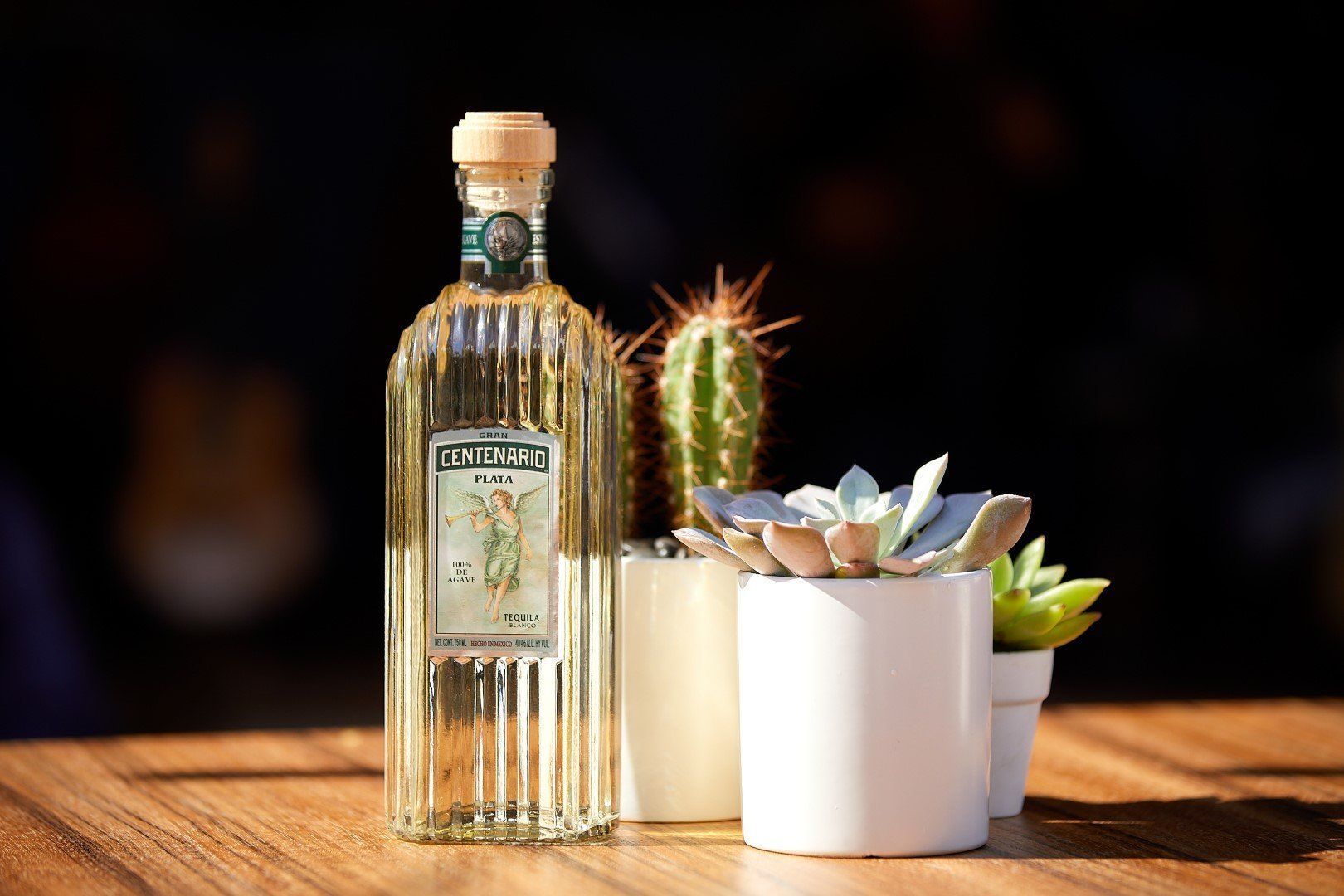 1620x1080 Premium Tequila and Mezcal Dinner