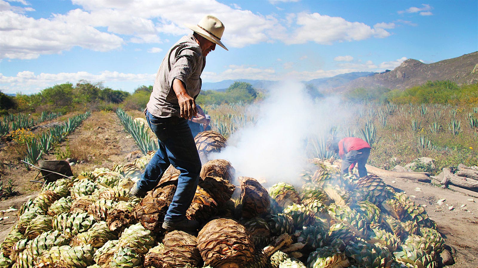 1600x900 Mezcal