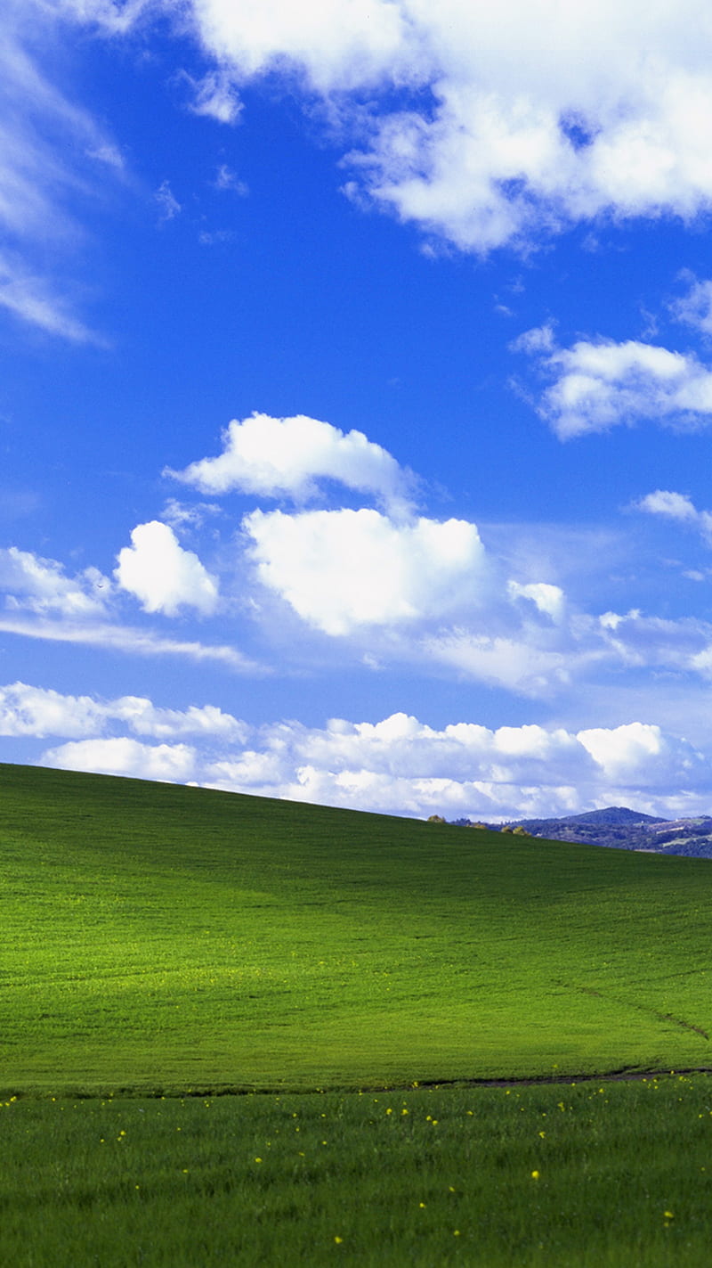 800x1423 Bliss, field, hills, nature, sky, windows, xp, HD phone wallpaper