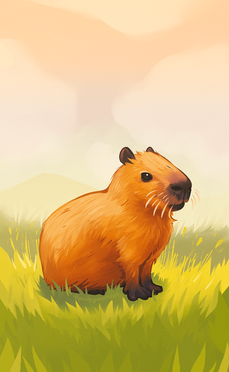 780x1266 Capybara Phone Wallpaper's Ko Fi Shop