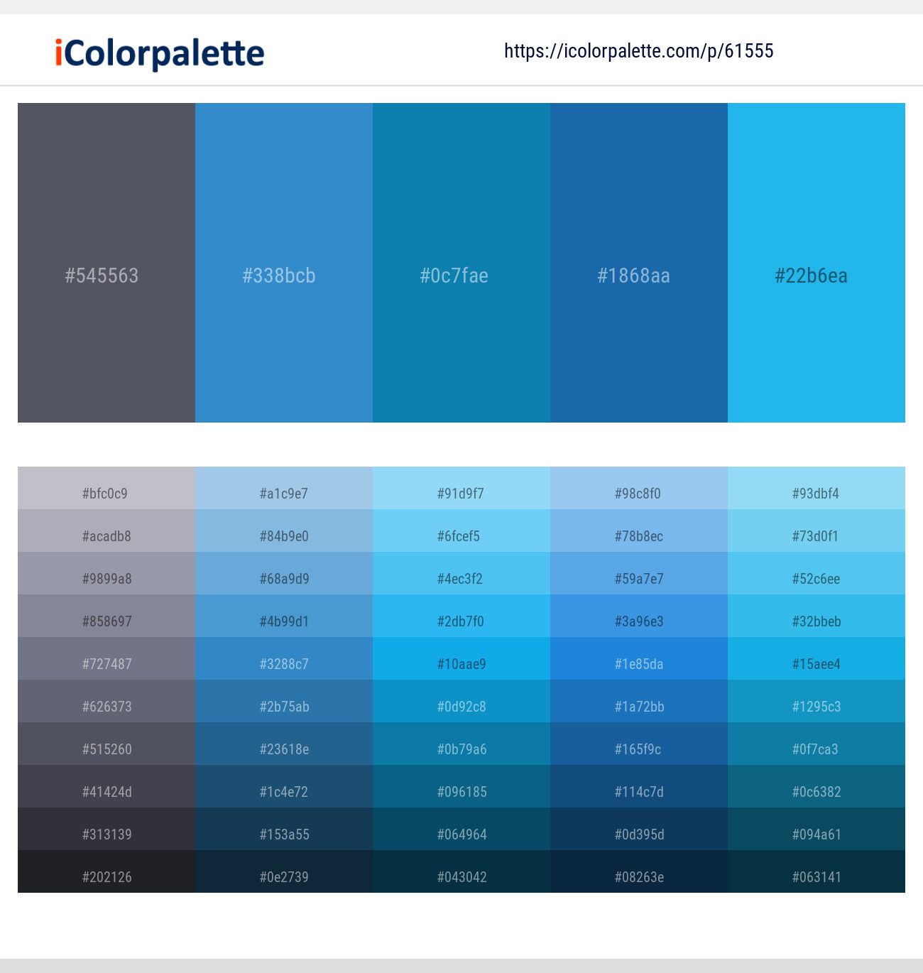 1300x1370 Picton Blue Color tone combinations