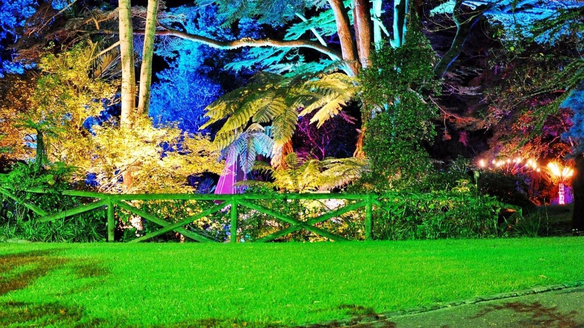 1920x1080 New Zealand Botanical Gardens.. Wallpaper Night Graden
