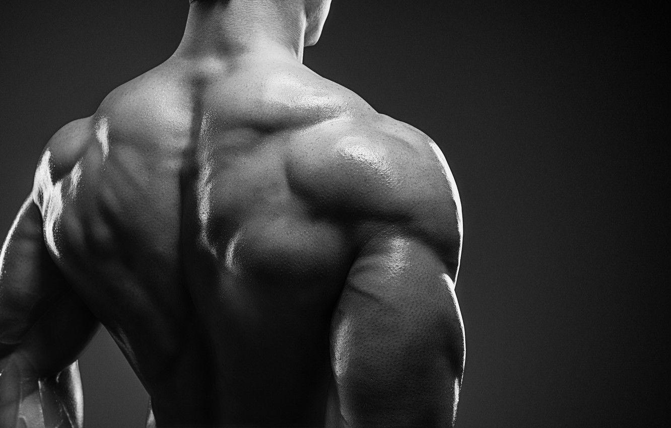 Back Muscle Wallpapers - Top Free Back Muscle Backgrounds - WallpaperAccess