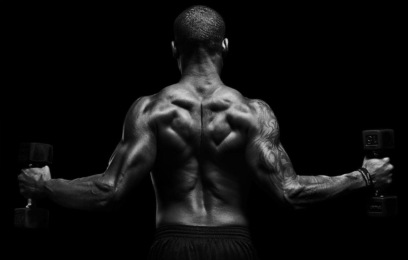 back bodybuilding wallpaper