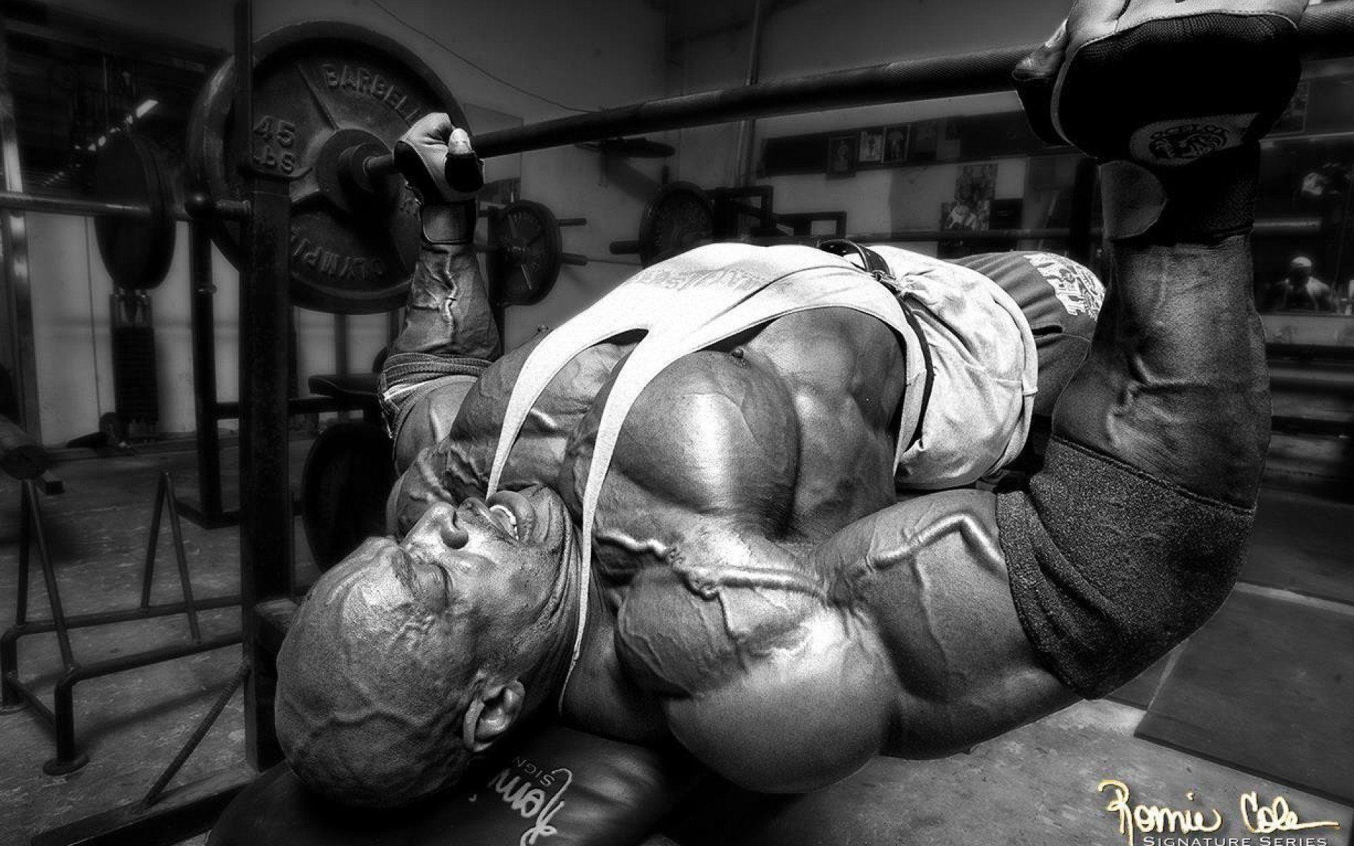 1920x1200 Body Building Fitness Muscle Muscles Weight Lifting