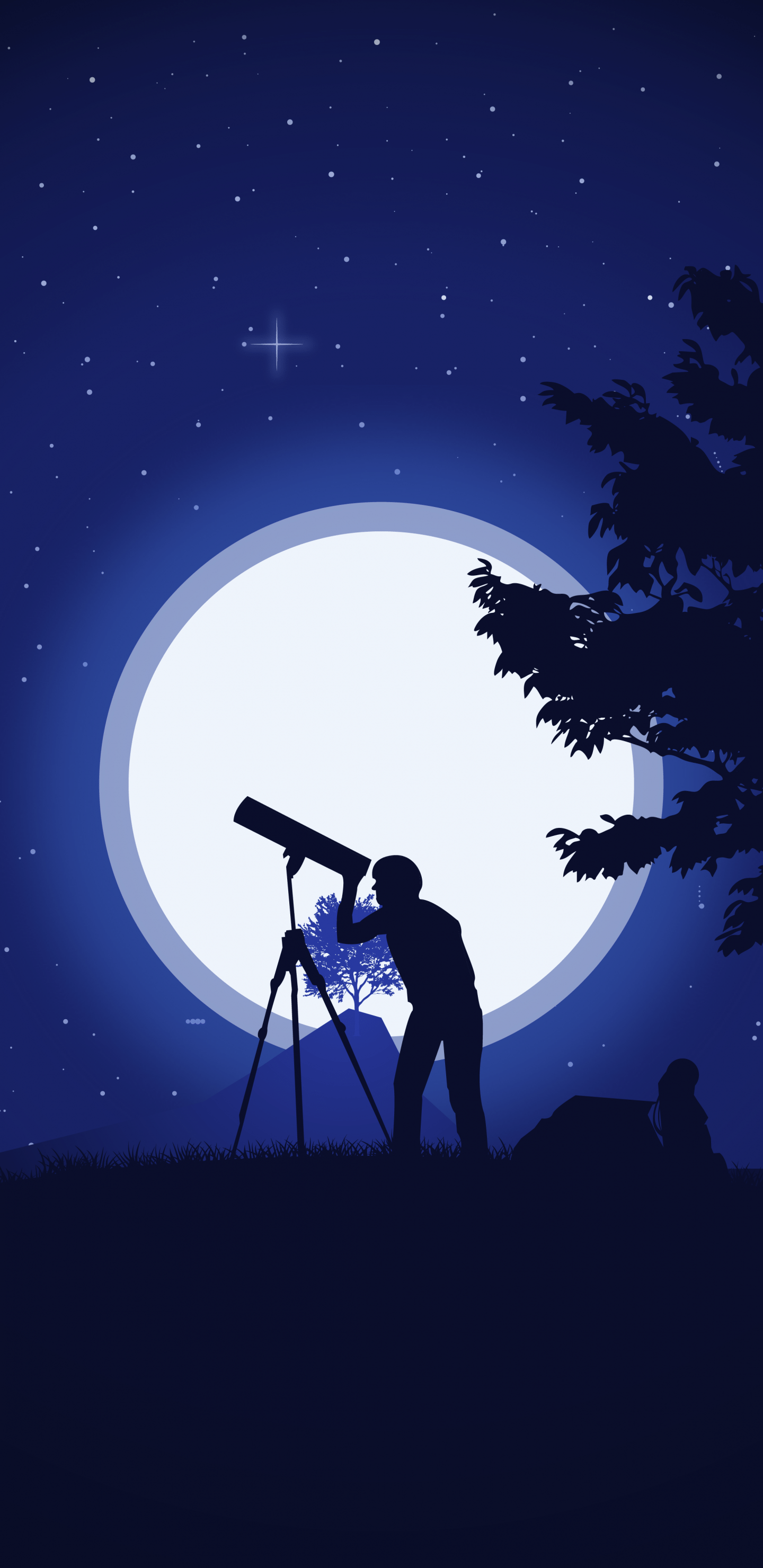 Download Stargazing in the Captivating Night Sky Wallpaper  Wallpaperscom