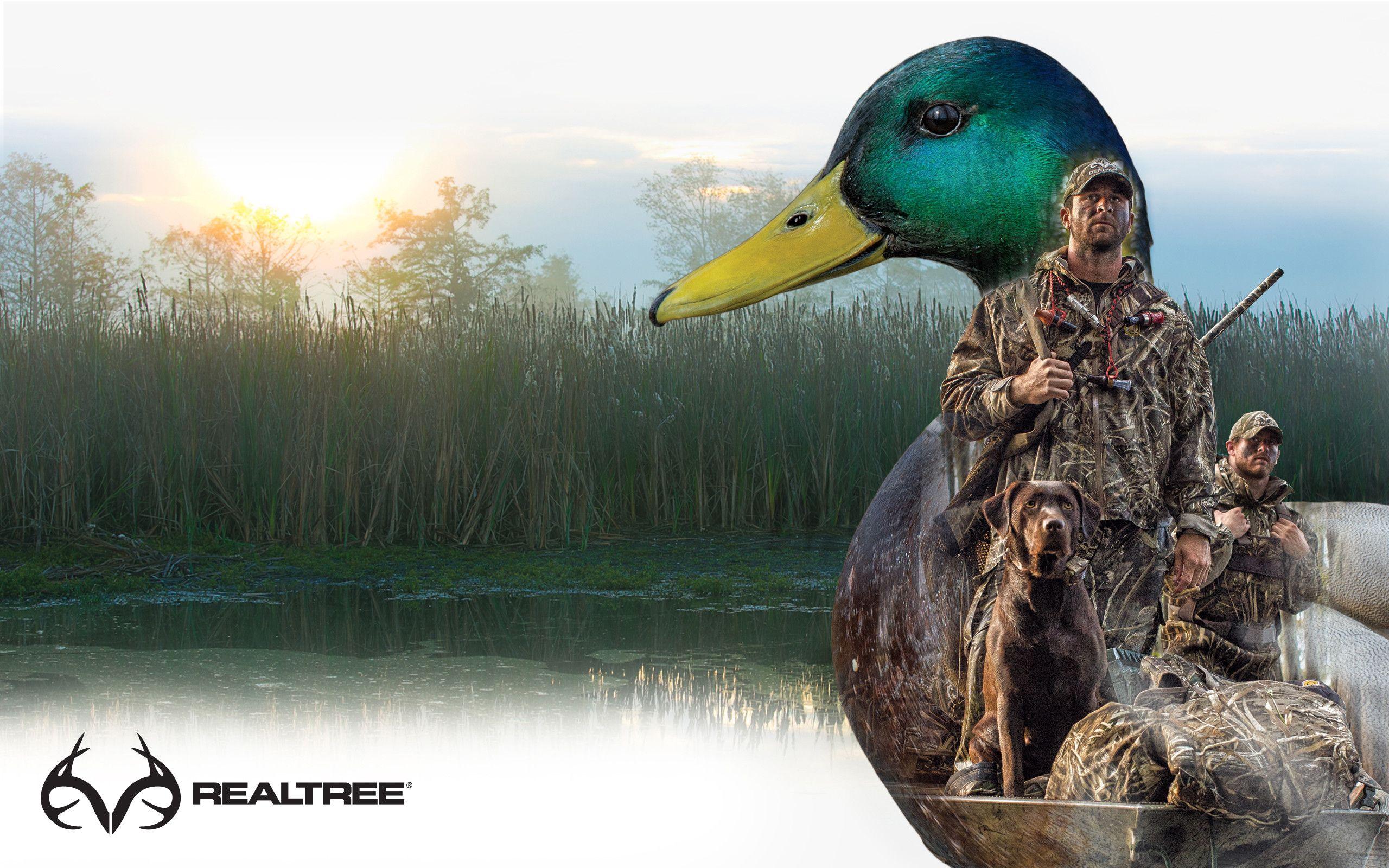 Drake Waterfowl Desktop Wallpapers - Top Free Drake Waterfowl Desktop