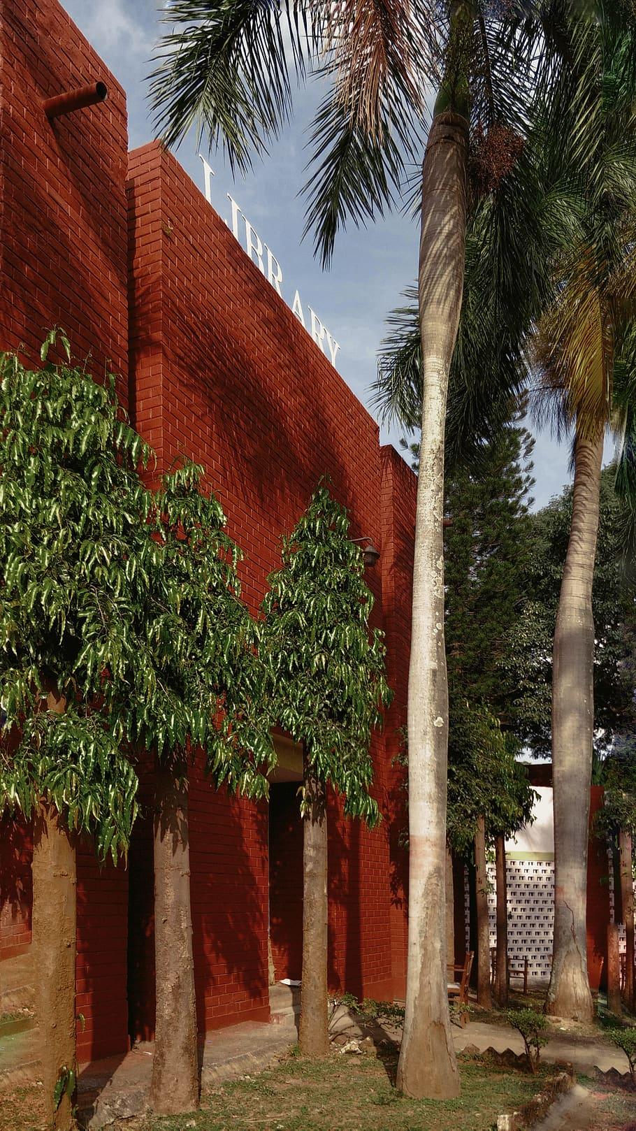 910x1618 Bangalore university rd 1080P, 2K, 4K, 5K HD wallpaper free