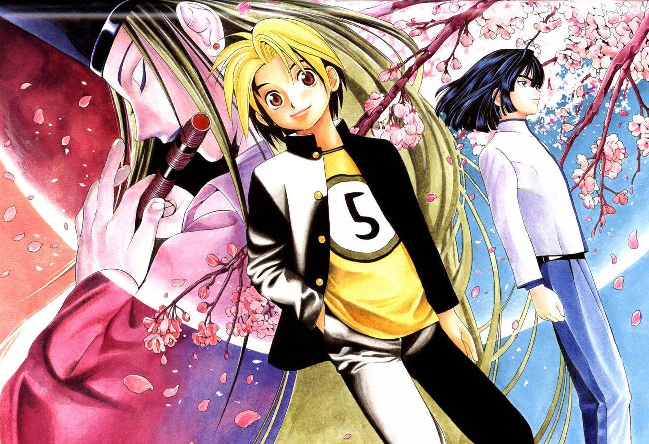 Wallpaper : illustration, anime, cartoon, comics, Hikaru no Go, Shindou  Hikaru, Fujiwara no Sai, mangaka 1300x885 - YoungScum - 66295 - HD  Wallpapers - WallHere