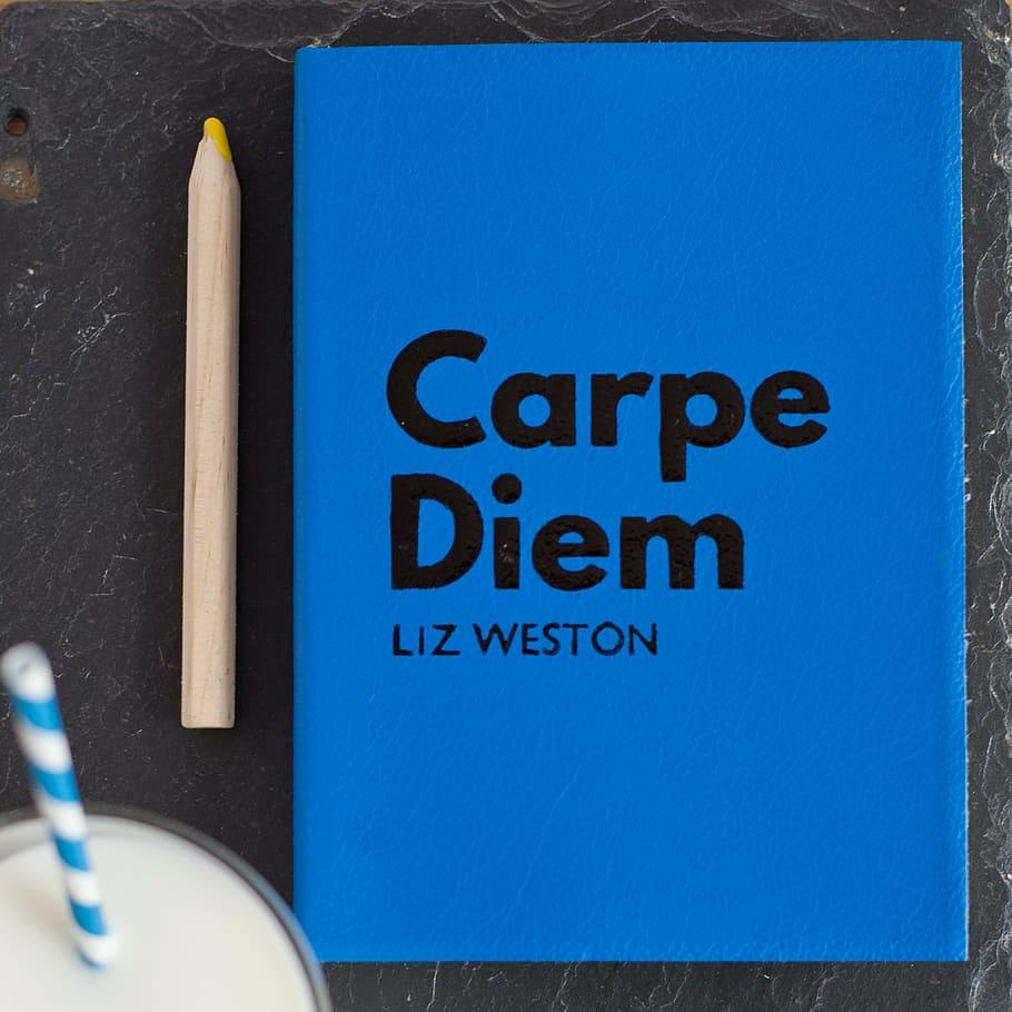 910x910 Carpe diem 1080P, 2K, 4K, 5K HD wallpaper free download
