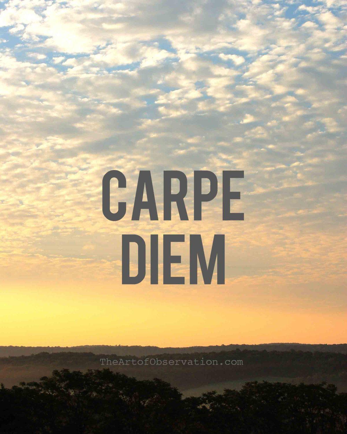 1200x1500 Quotes about Carpe Diem (83 quotes)