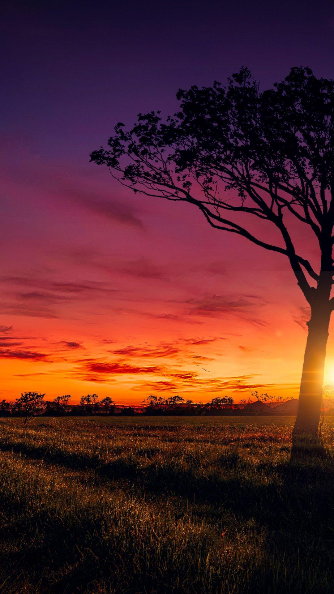 1080x1920 Sunset Scenery HD Wallpaper Wallpaper Of Sunset Free