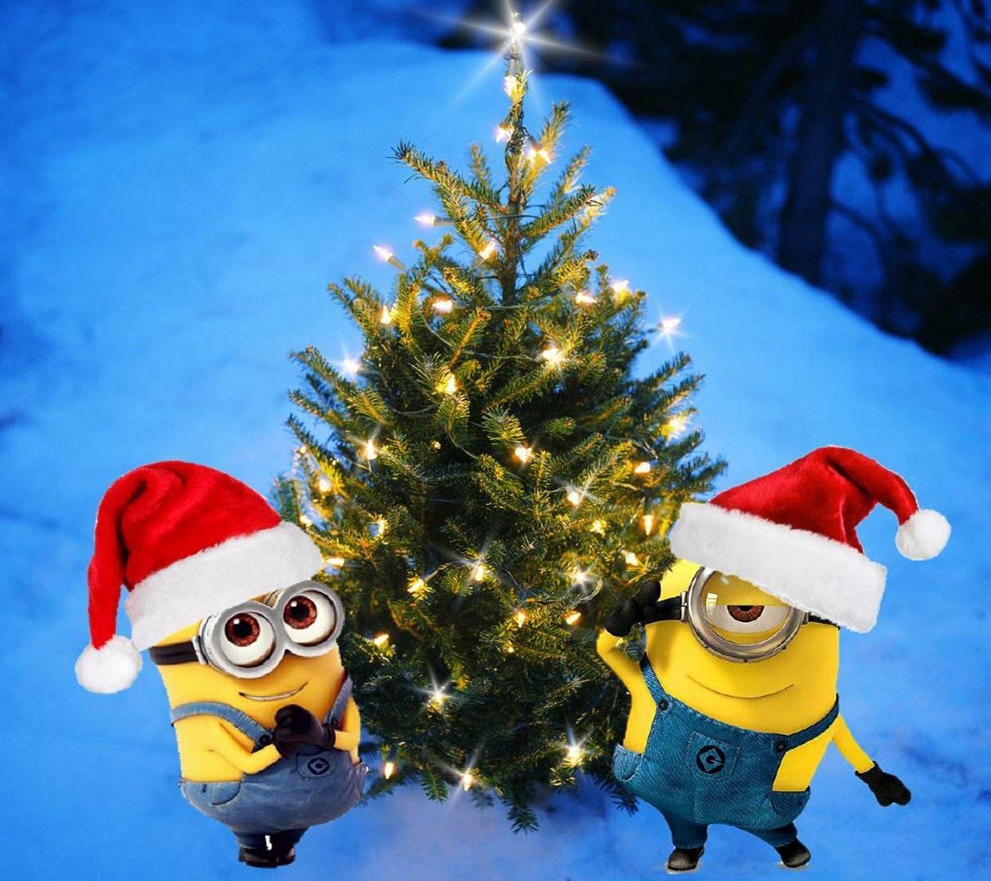 Minions Christmas Wallpapers Top Free Minions Christmas Backgrounds Wallpaperaccess