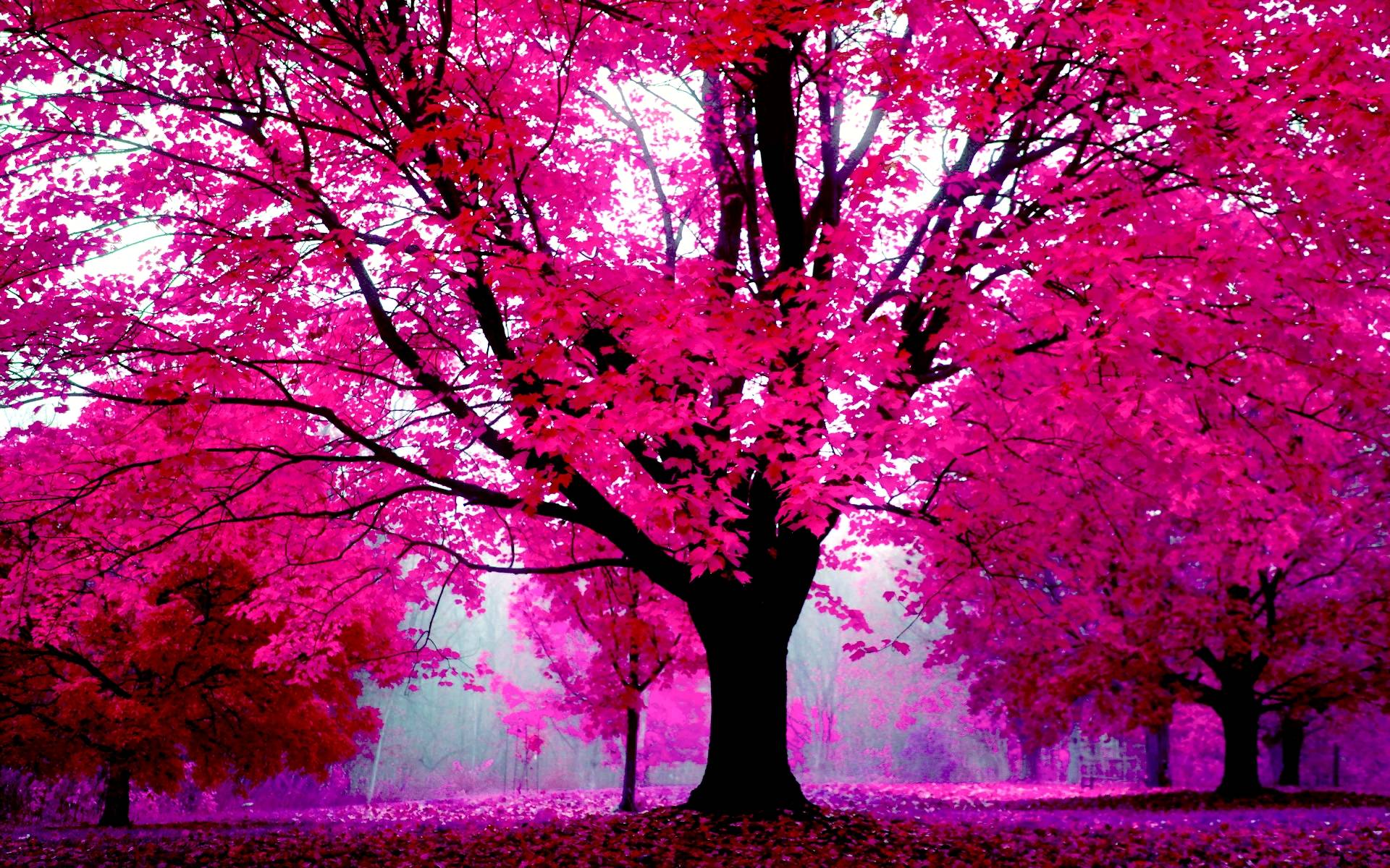 1920x1200 Girly Wallpaper