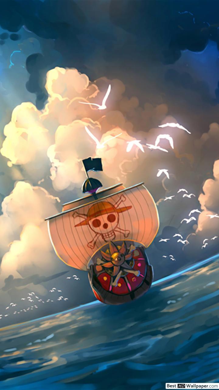 720x1280 One Piece Sunny HD wallpaper download