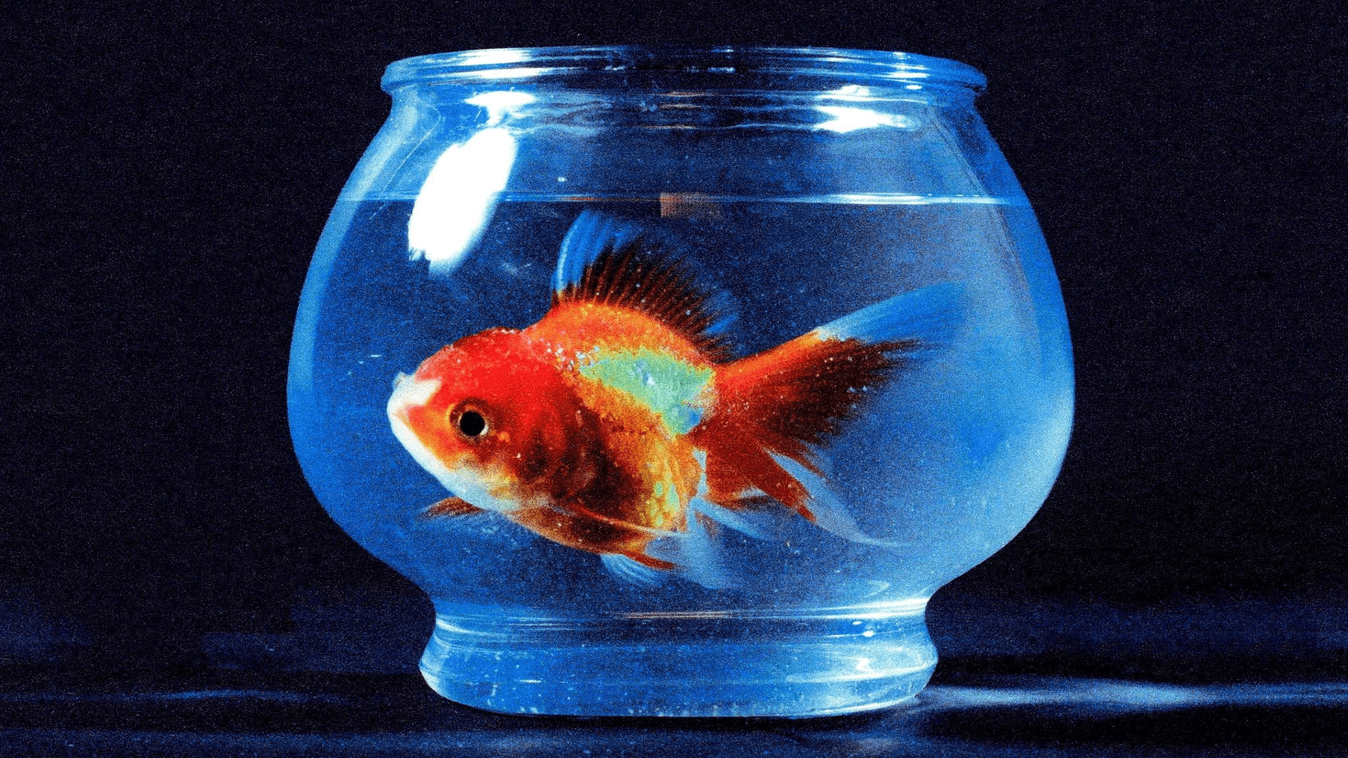 Vince Staples Wallpapers - Top Free Vince Staples Backgrounds