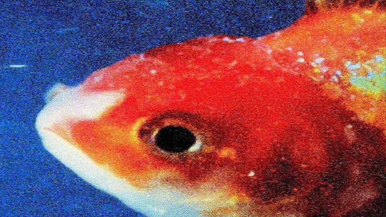1280x720 Review: With Big Fish Theory, Vince Staples Swims Laps