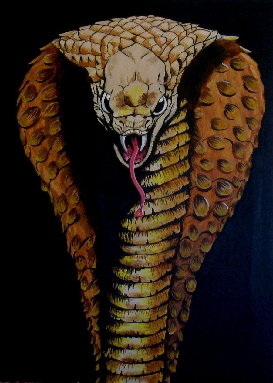 900x1262 Free download king cobra art Wallpaper Downloads [900x1262] for your Desktop, Mobile & Tablet. Explore King Cobra Wallpaper. Wallpaper Snake Cobra, Snake Wallpaper for Desktop, 427 Shelby Cobra Wallpaper