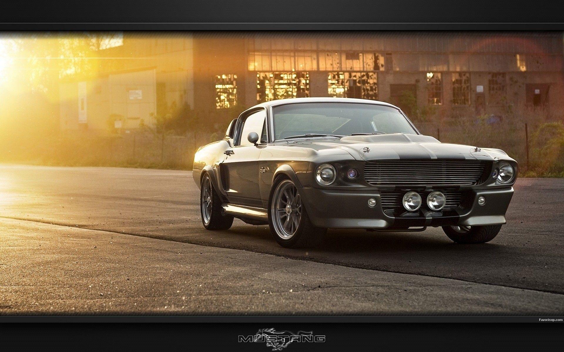 1920x1200 Shelby Gt500 Eleanor Wallpaper