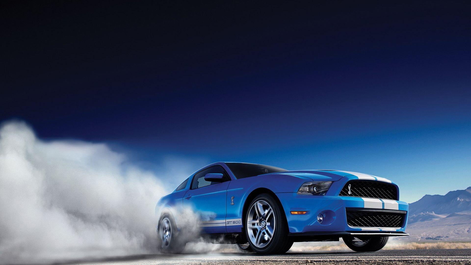 1920x1080 Shelby Portrait Wallpaper