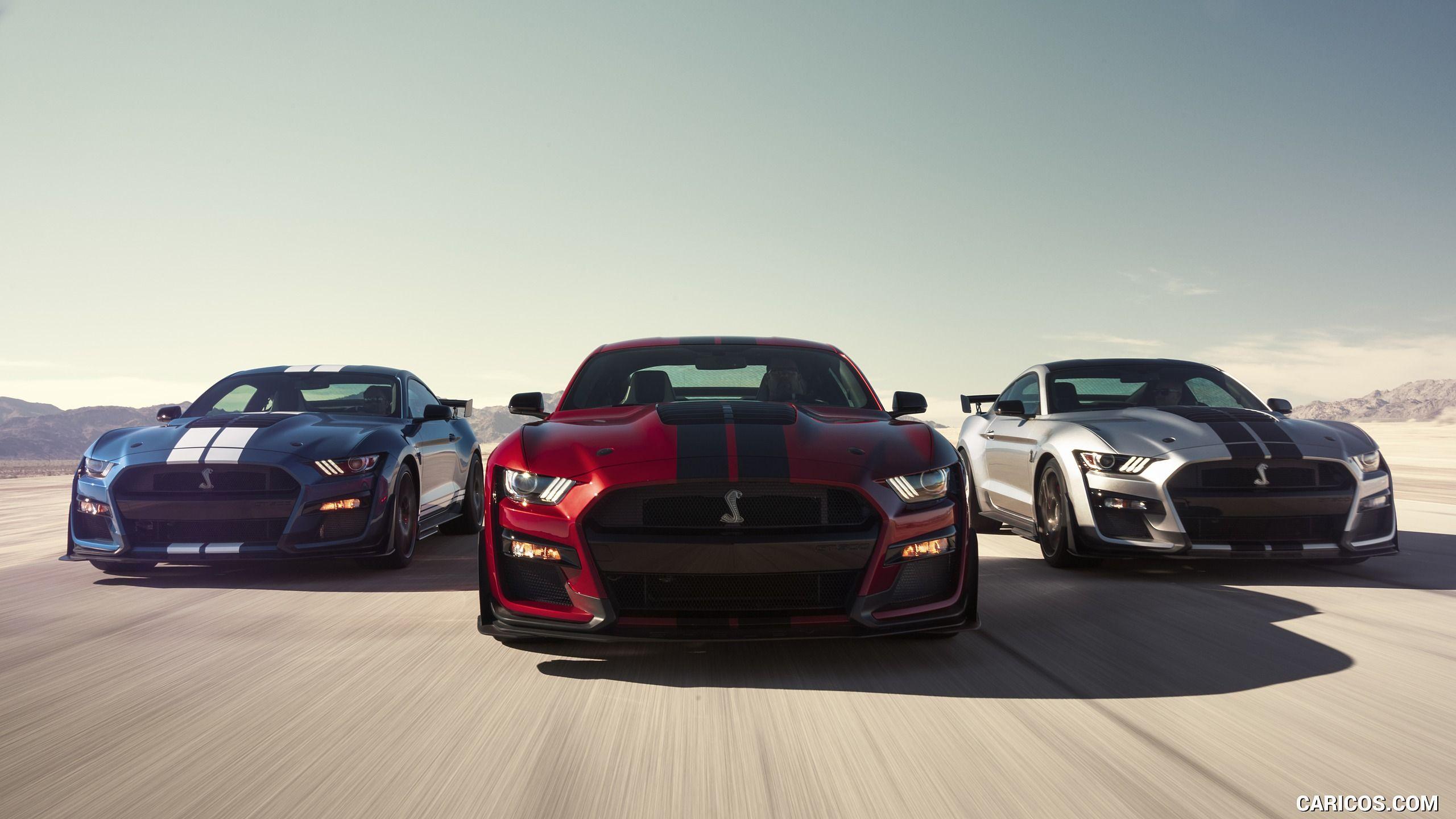 2560x1440 Ford Mustang Shelby GT500 Wallpaper 32 image