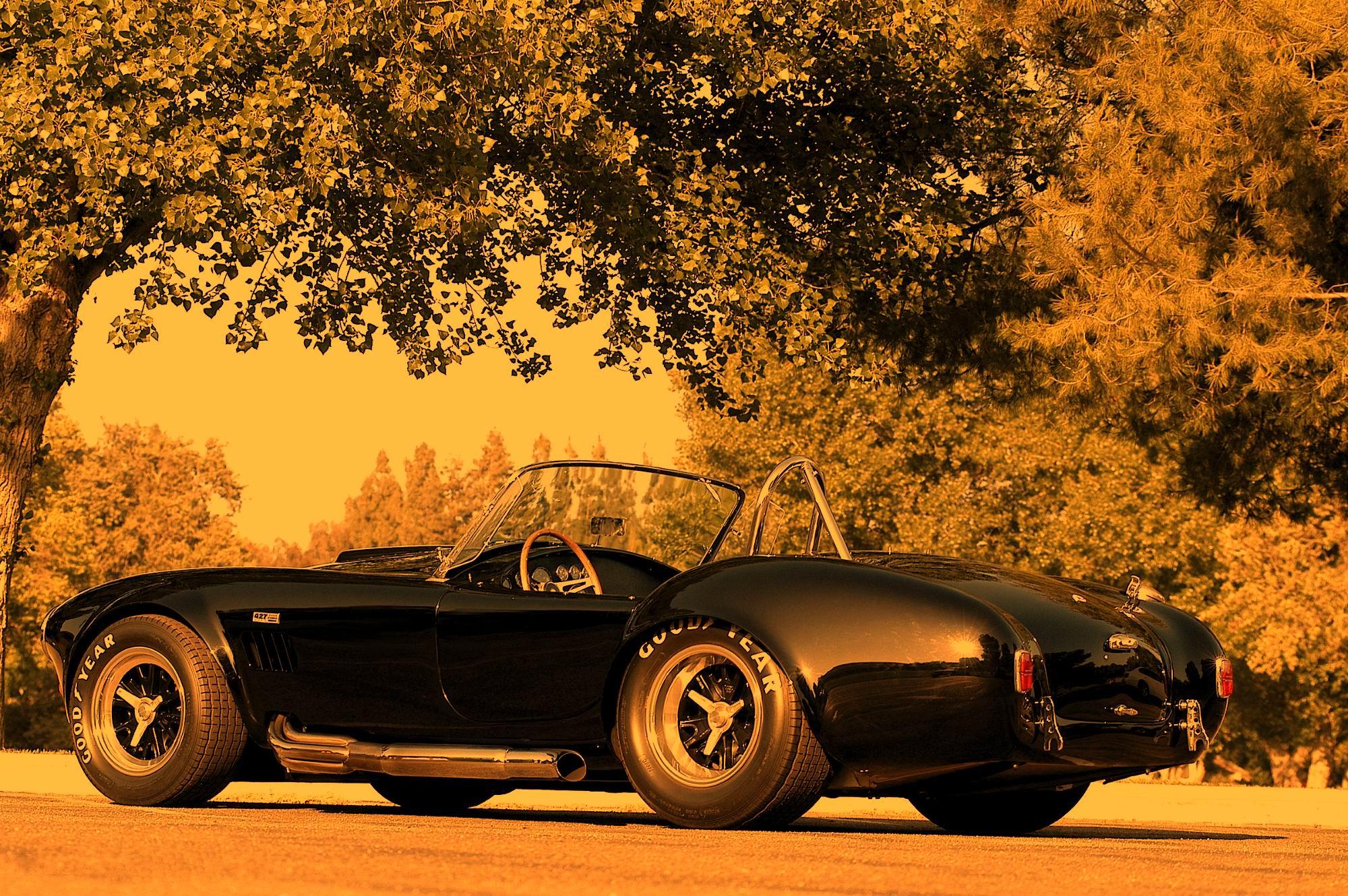 2000x1330 Cobra Desktop Wallpaper