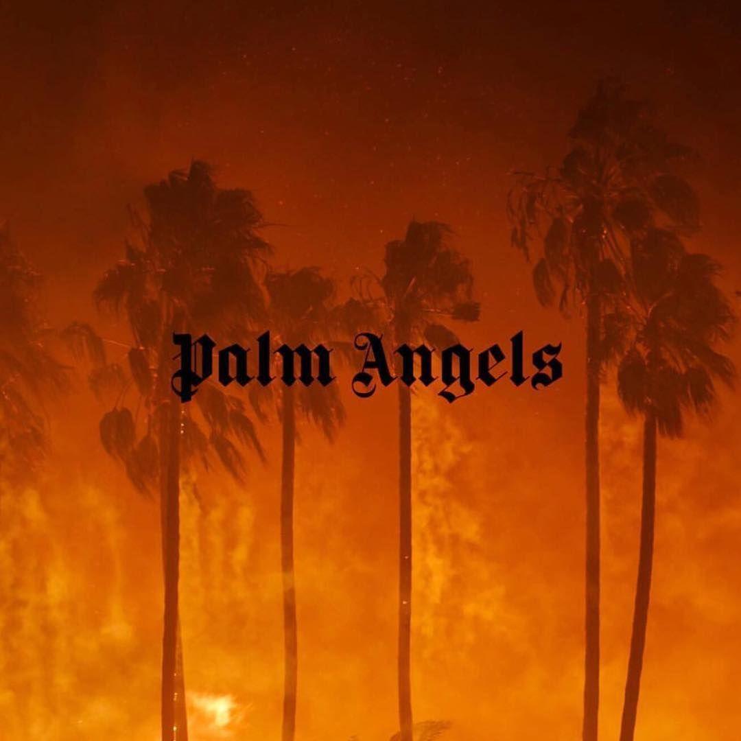 Aestethic palm angels aesthetic HD phone wallpaper  Peakpx